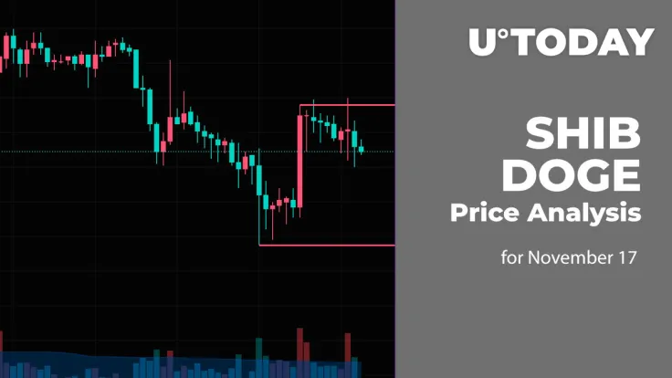 SHIB and DOGE Price Analysis for November 17