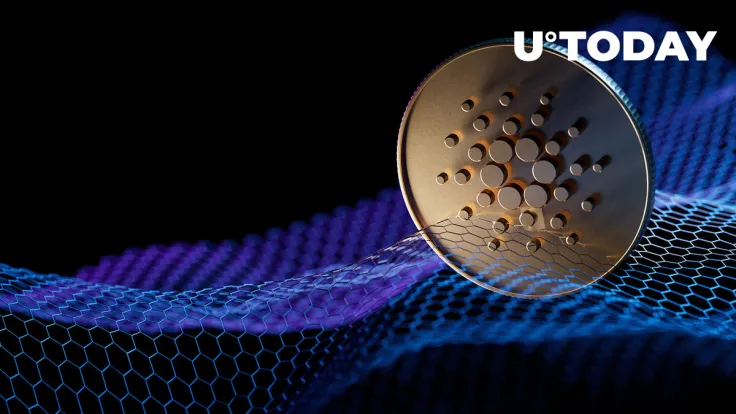 Cardano's Impressive Staking Numbers Are Revealed, Here's What They're About