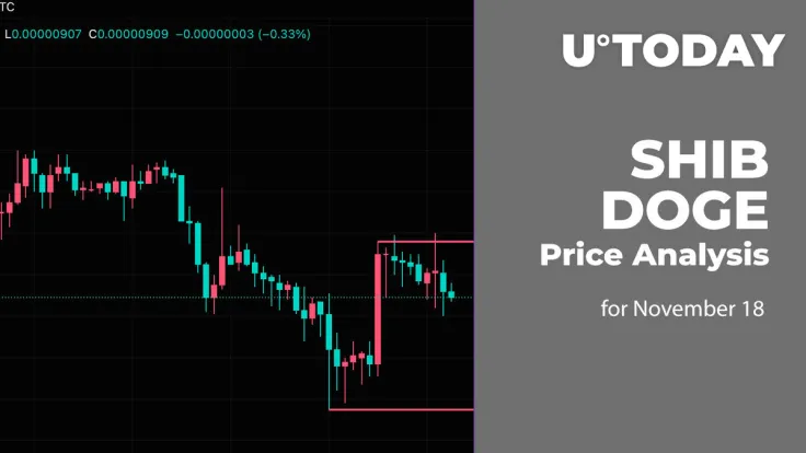 SHIB and DOGE Price Analysis for November 18