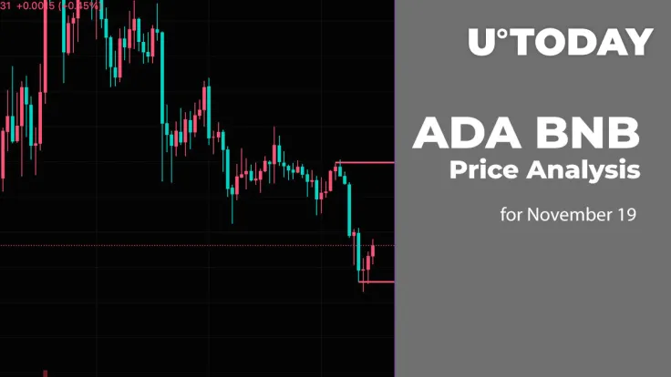 ADA and BNB Price Analysis for November 19