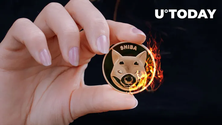 Shiba Inu Burn Rate Spikes by 121%, Price Reacts