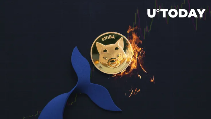 231.4 Billion SHIB Dumped by Top Whales as Burn Rate Spikes 506%