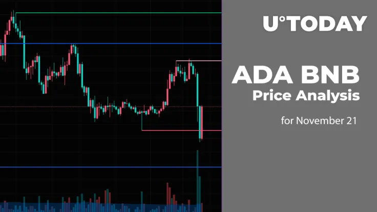 ADA and BNB Price Analysis for November 21