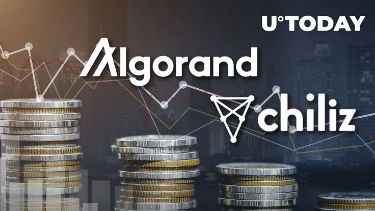 Here's Why Chiliz and Algorand Suffered Losses in Latest Market Drop: Details