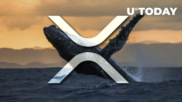 Hundreds of Millions of XRP Moved by Whales as Price Shows Bullish Setup