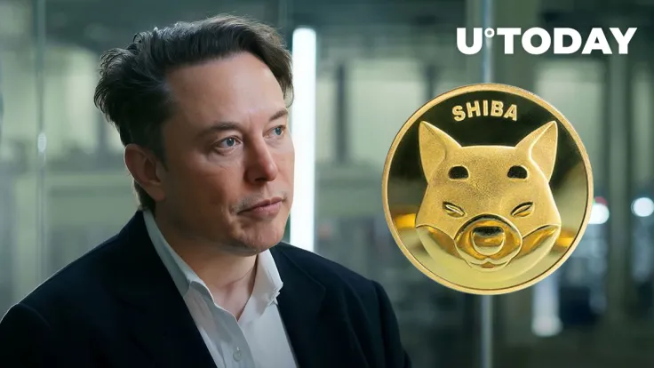 Shibburn Calls Elon Musk to Action, Here's What It's About