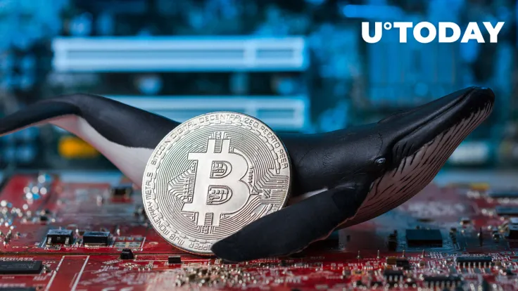 Ancient Bitcoin Whale Awakens by Moving Part of $160 Million BTC