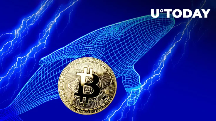 100,000 BTC Sold or Redistributed by Whales in Past Two Days: Report