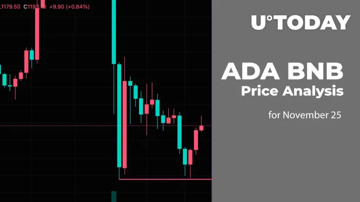 ADA and BNB Price Analysis for November 25