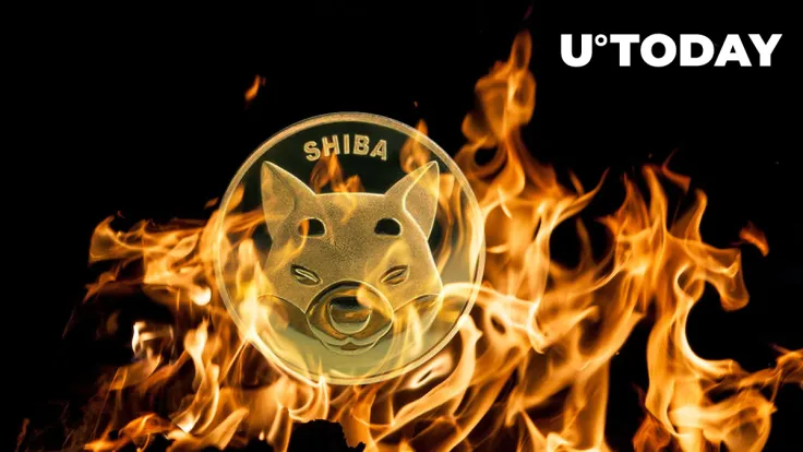 Shiba Inu Sees Nearly 100% Weekly Burns, What's Next on SHIB Price?
