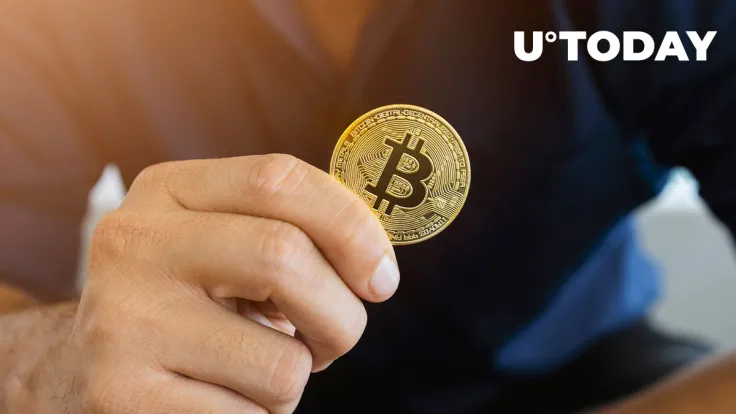 Number of Bitcoin Holders at All-time High as Bottom Draws Near: Details