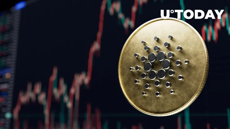 Cardano Blockchain Insights Reveal Abnormal Increase in This Metric: Details