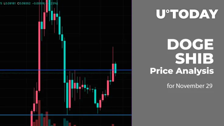 DOGE and SHIB Price Analysis for November 29