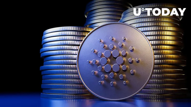 Cardano Among Top Three Chains with Highest Daily Development Activity