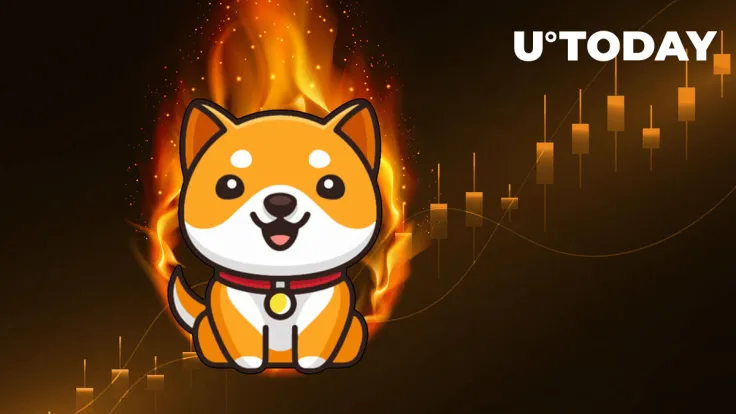 Massive BabyDoge Burn Coming in 2 Days: Report