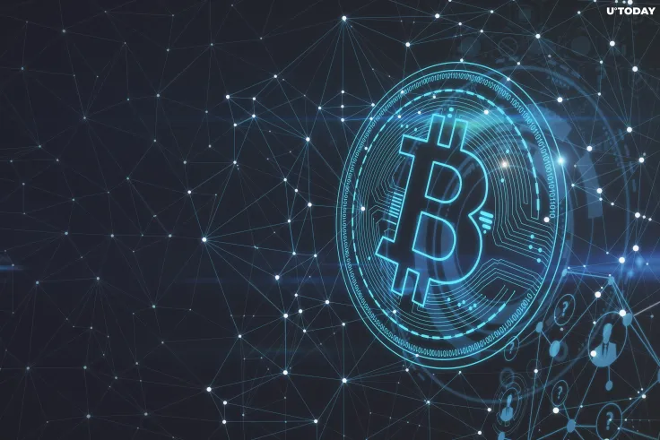 Small Bitcoin Holders Buy BTC in Droves in Spite of FTX Collapse