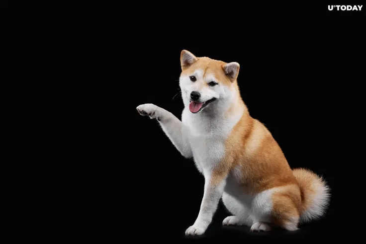 BabyDoge Price Rises as Meme Coin Hits Major Milestone