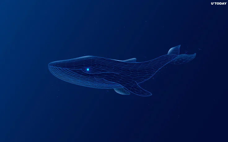 Massive Crypto Whales Are Back in Business, Analyst Expects Major Movements