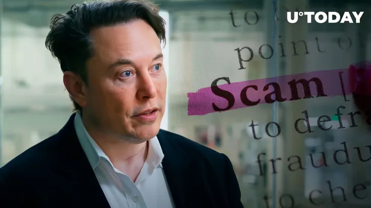 Elon Musk Dogecoin Scam Promoted by Hacked Account of UK MP
