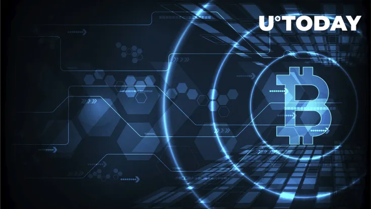 Large Crypto Investors Are Coming Back to Bitcoin and Market