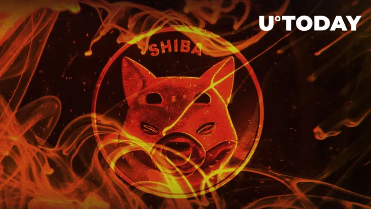 "Hell of a Number" of SHIB Tokens Burned in November: Details