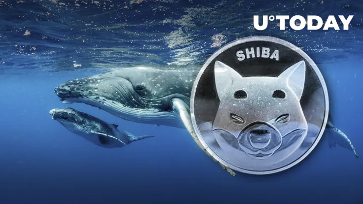 New SHIB Whale Born as This Wallet Gets 1.2 Trillion Shiba Inu