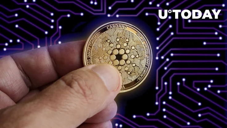 Cardano (ADA) Shows Crazy Development Activity, Competitors Massively Outperformed
