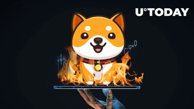 $1.1 Million in BabyDoge Burnt, Here's What's Happening to Price