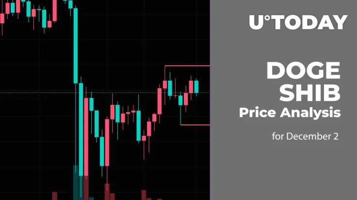 DOGE and SHIB Price Analysis for December 2
