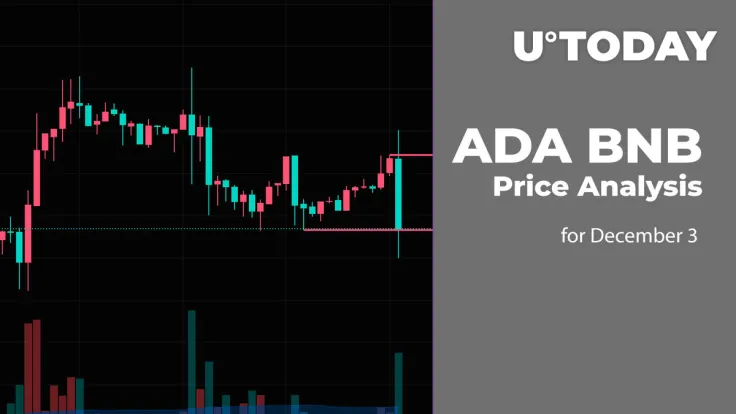 ADA and BNB Price Analysis for December 3