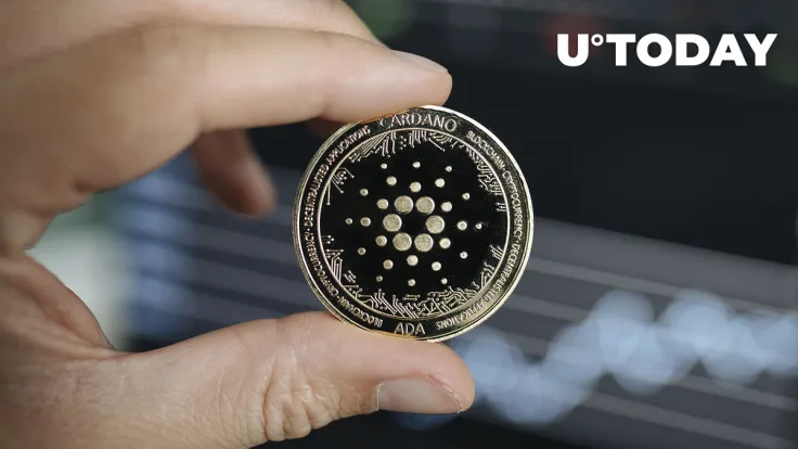 These Investors Buying Up Cardano (ADA) En Masse, What Is Their Plan?