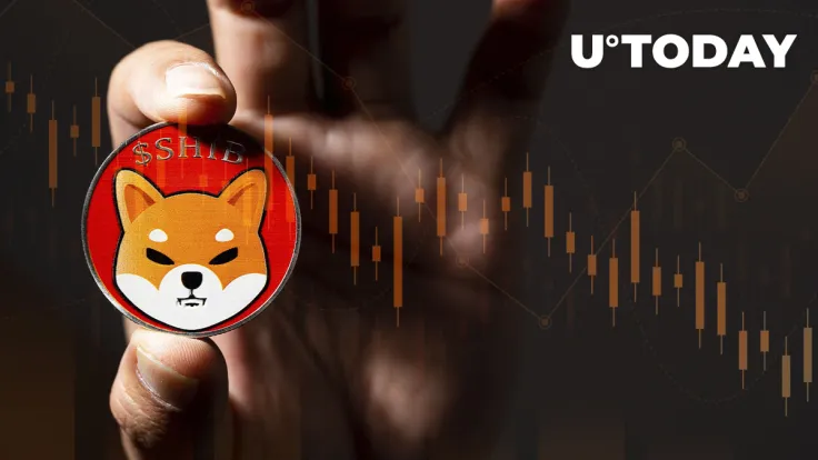 SHIB Loses Top 10 Position for Whales: Is Total Dump Coming?