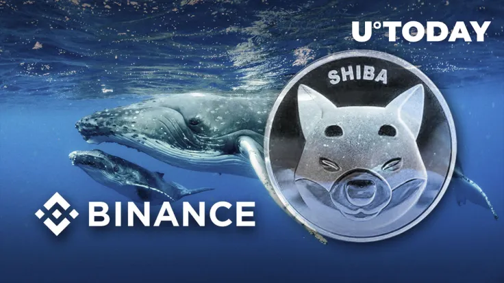 Hundreds of Billions of SHIB Moved by Mysterious Whales to Binance as Price Shows Some Gains
