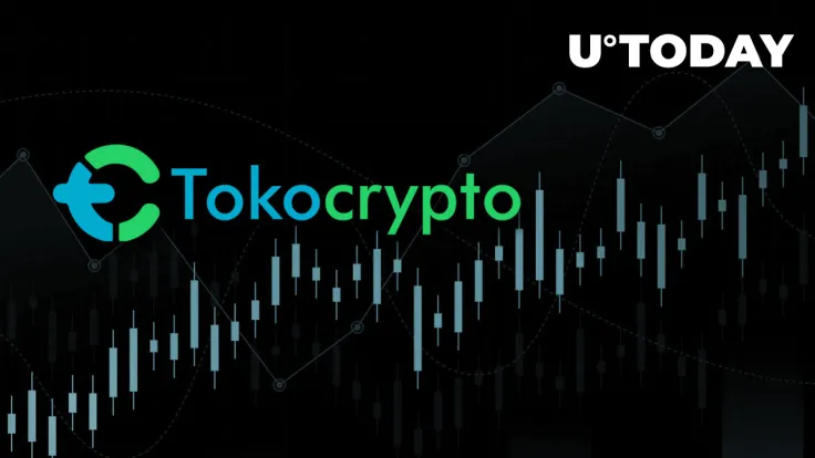 Here's Why TKO Pumps 97% and What Binance Has to Do with It