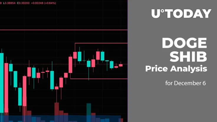 DOGE and SHIB Price Analysis for December 6