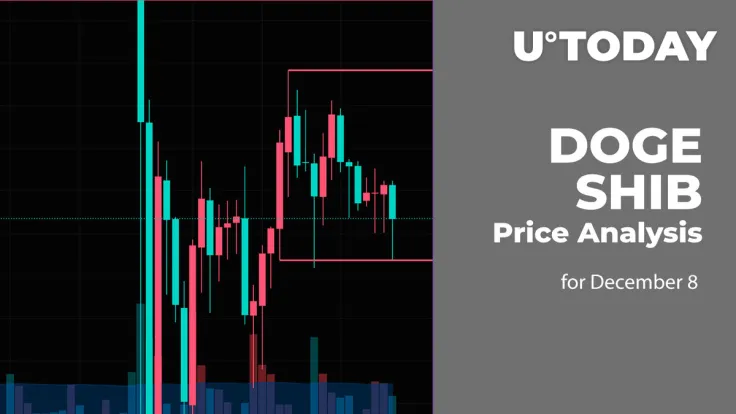 DOGE and SHIB Price Analysis for December 8