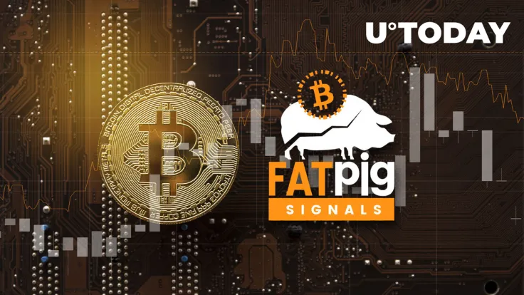 Bitcoin (BTC) Macro Risk/Reward Indicators Look Promising, Fat Pig Signals Analysts Say