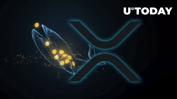 143 Million XRP Moved As Ripple’s Partner Bitso Launches New Remittance Corridor