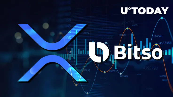 Ripple Key Partner Bitso Shifts Dozens of Millions of XRP – What's Happening?