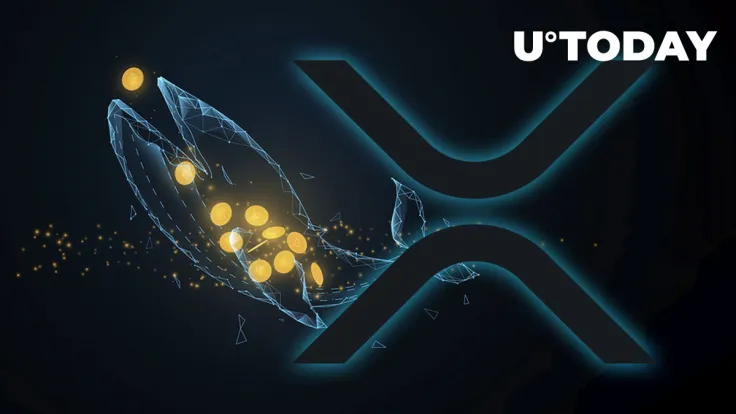 Millionaire XRP Whales Quickly Filling Their Bags, Here Might Be Reason