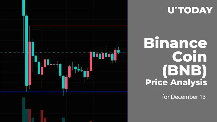 Binance Coin (BNB) Price Analysis for December 13