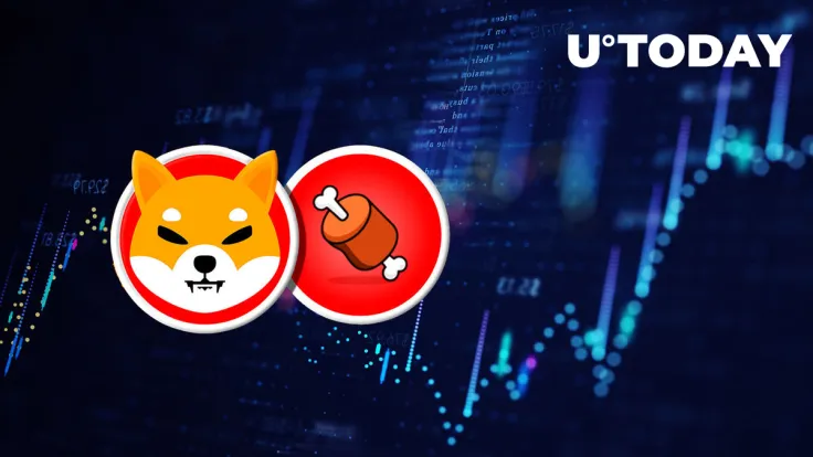Shiba Inu's BONE up 10% as Price Gains Ground Against BTC and ETH, Here's Why