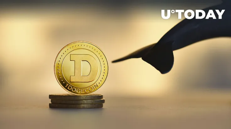 Whales After Dogecoin Now, These Metrics Show