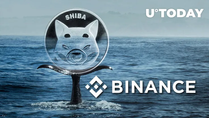 Hundreds of Billions of Shiba Inu (SHIB) Sent to Binance – Are Whales Depositing Back?