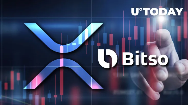 Dozens of Millions of XRP Moved by Ripple's Key Partner Bitso, Here's What Happened
