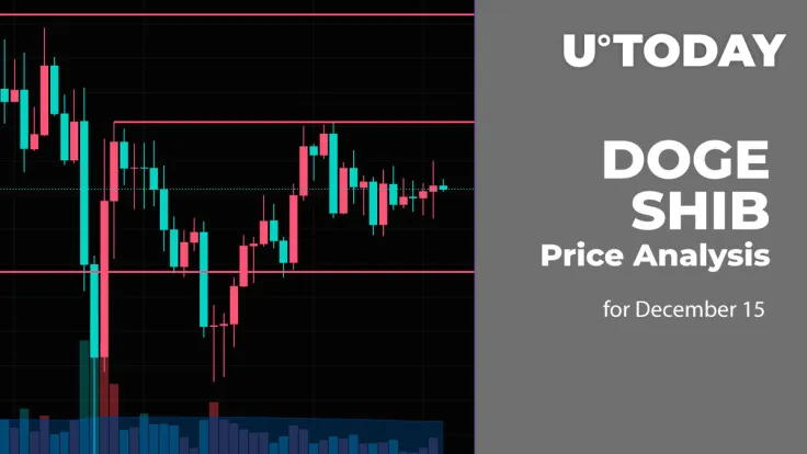 DOGE and SHIB Price Analysis for December 15