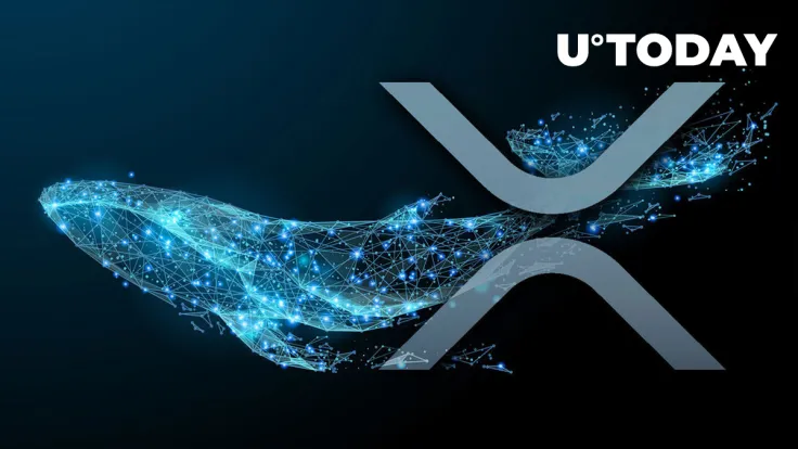 Anon Whales Shift 267 Million XRP As Price Strives to Hold Above $0.35