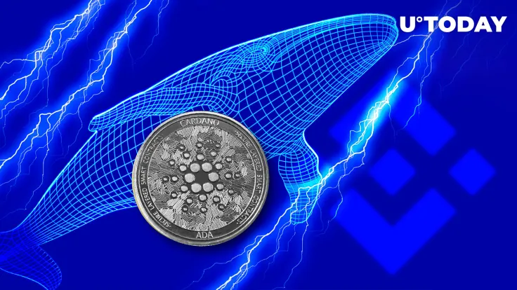 Cardano (ADA) Gets Into Largest BNB Chain Whales' Top Purchases