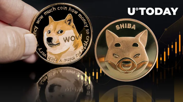 Shiba Inu (SHIB) Soars 13% Against Dogecoin (DOGE) and That May Not Be All Yet