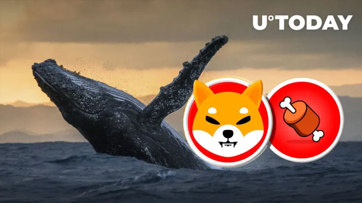 SHIB: Why Are Whales Buying BONE Token, Reason Might Be Surprising